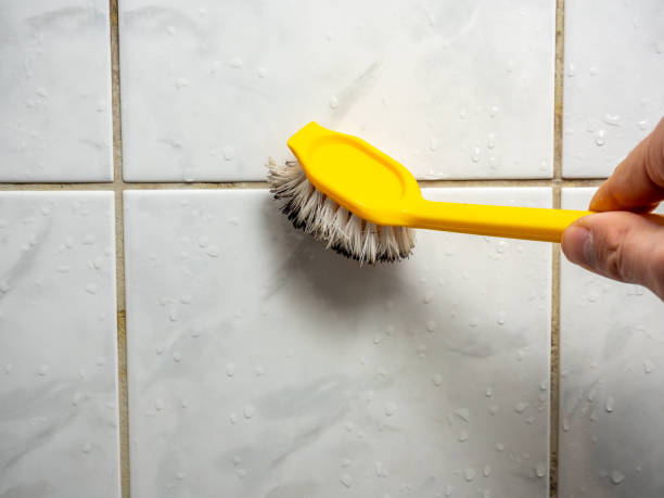 Best Best Mold Removal Companies  in Blackfoot, ID