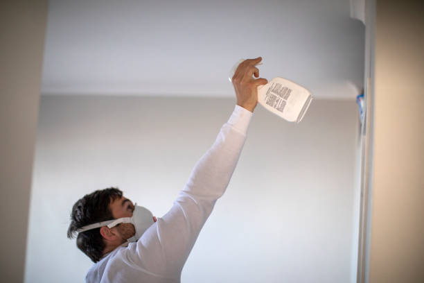 Best Mold Testing  in Blackfoot, ID