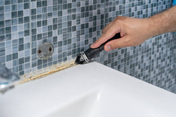 Best Office Mold Removal Services  in Blackfoot, ID